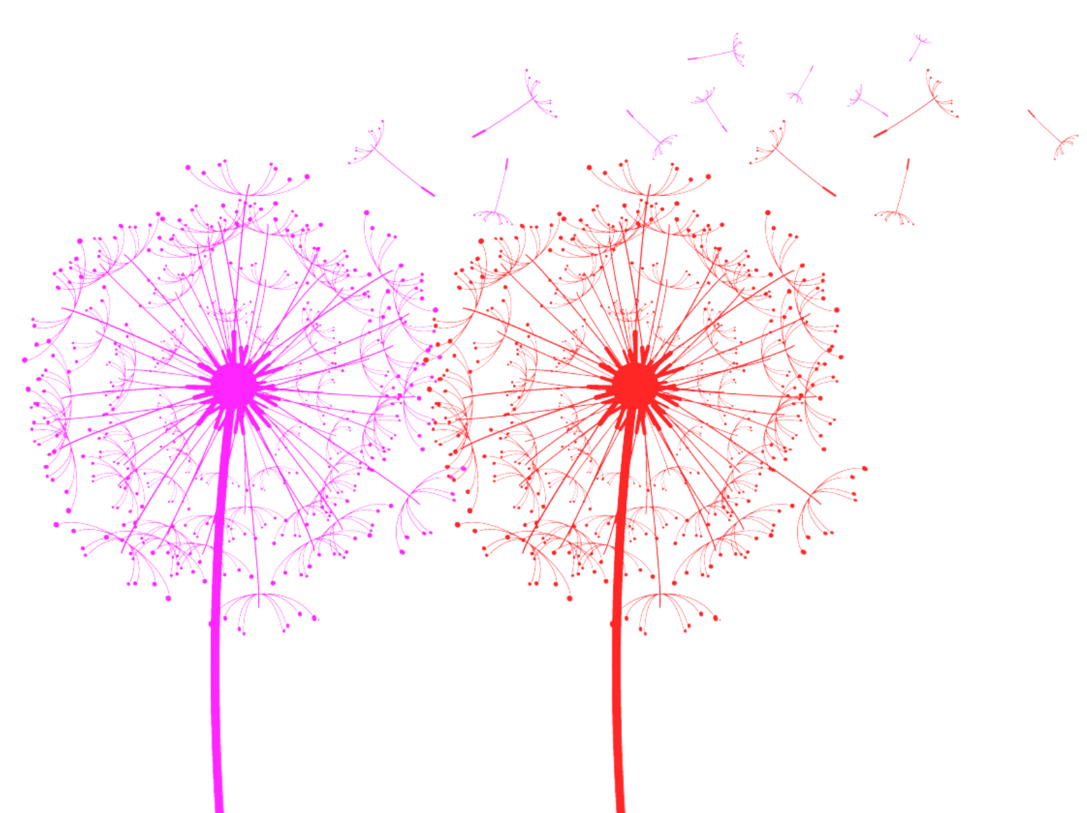 Illustration de fleurs de pissenlit